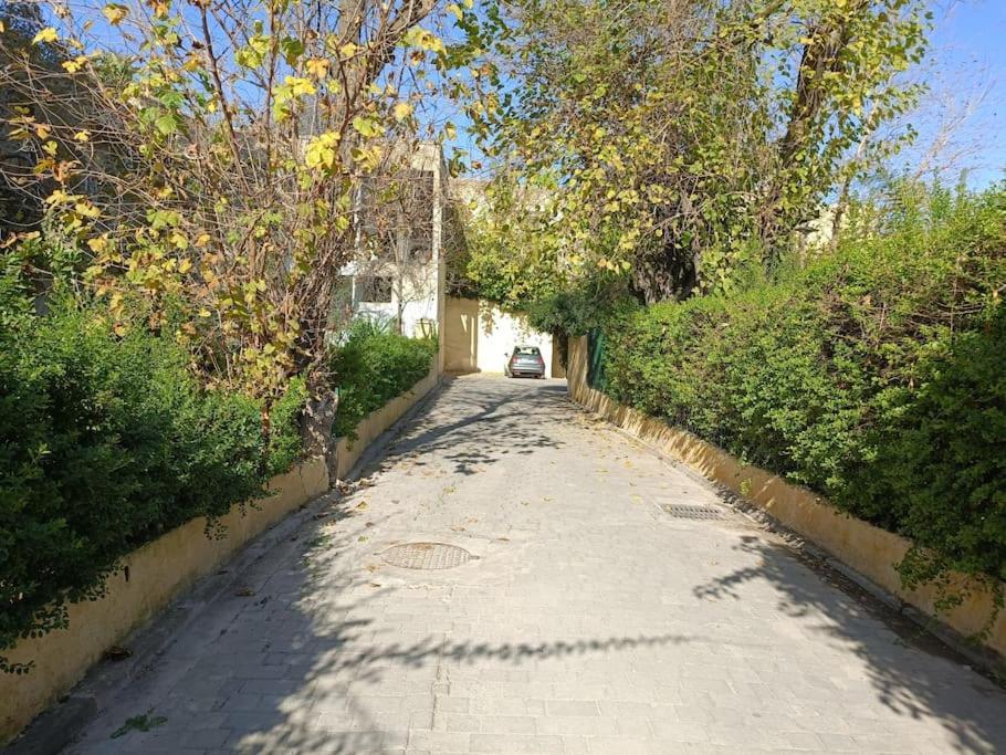Youssef فاس المظهر الخارجي الصورة